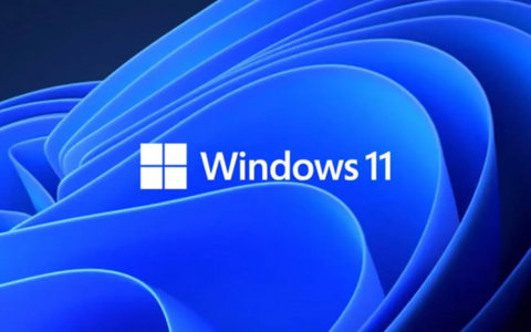 原版Win11系统下载windows_11_business_editions_23H2