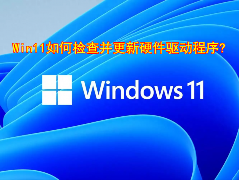 Win11如何检查并更新硬件驱动程序？